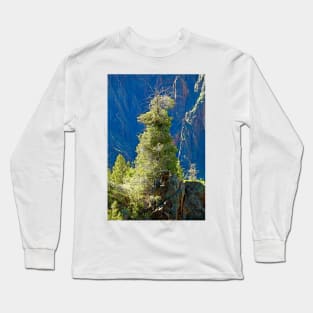 Black Canyon Tree Long Sleeve T-Shirt